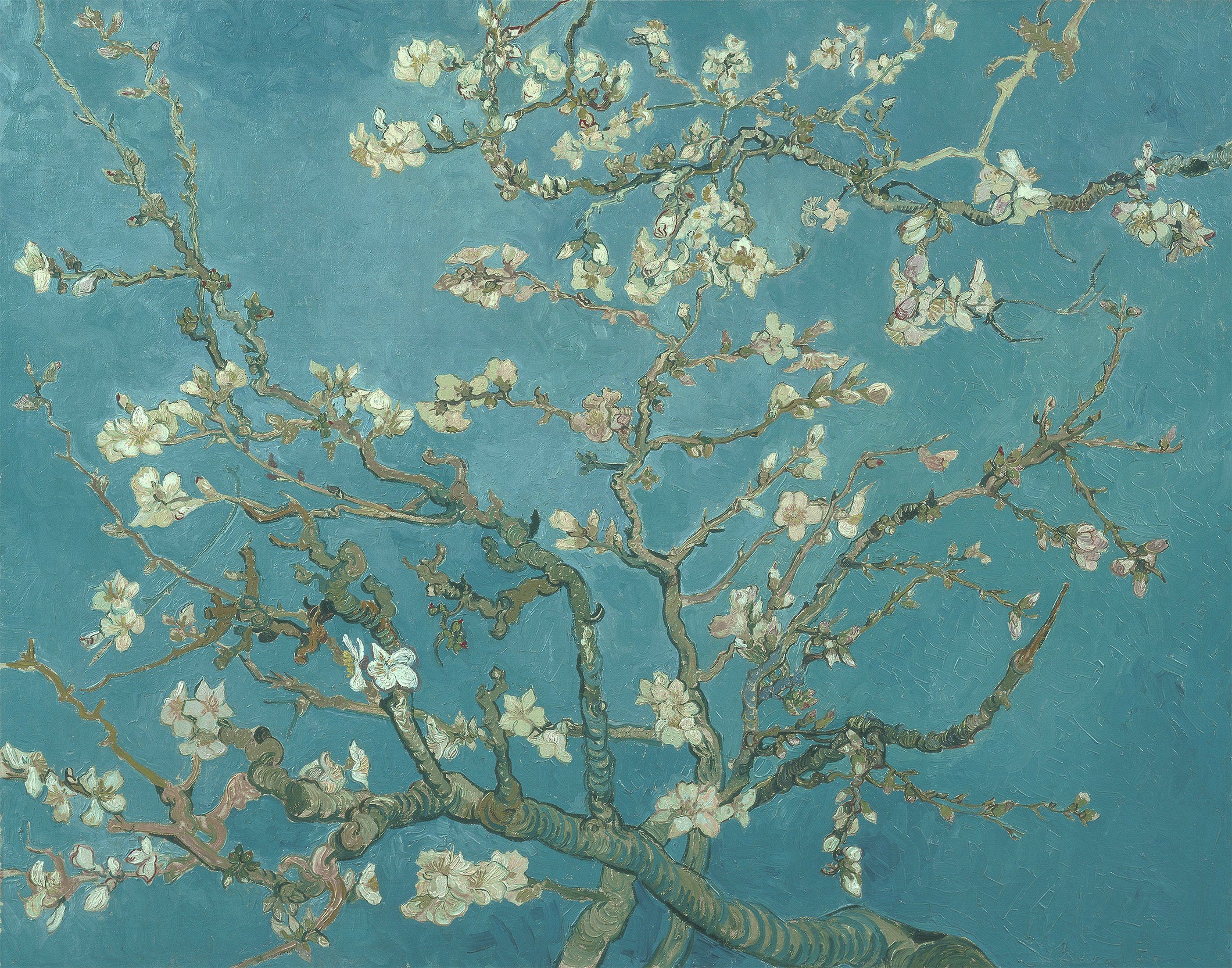 Almond Blossoms - Van Gogh Almond Blossom Wallpaper - Image 4