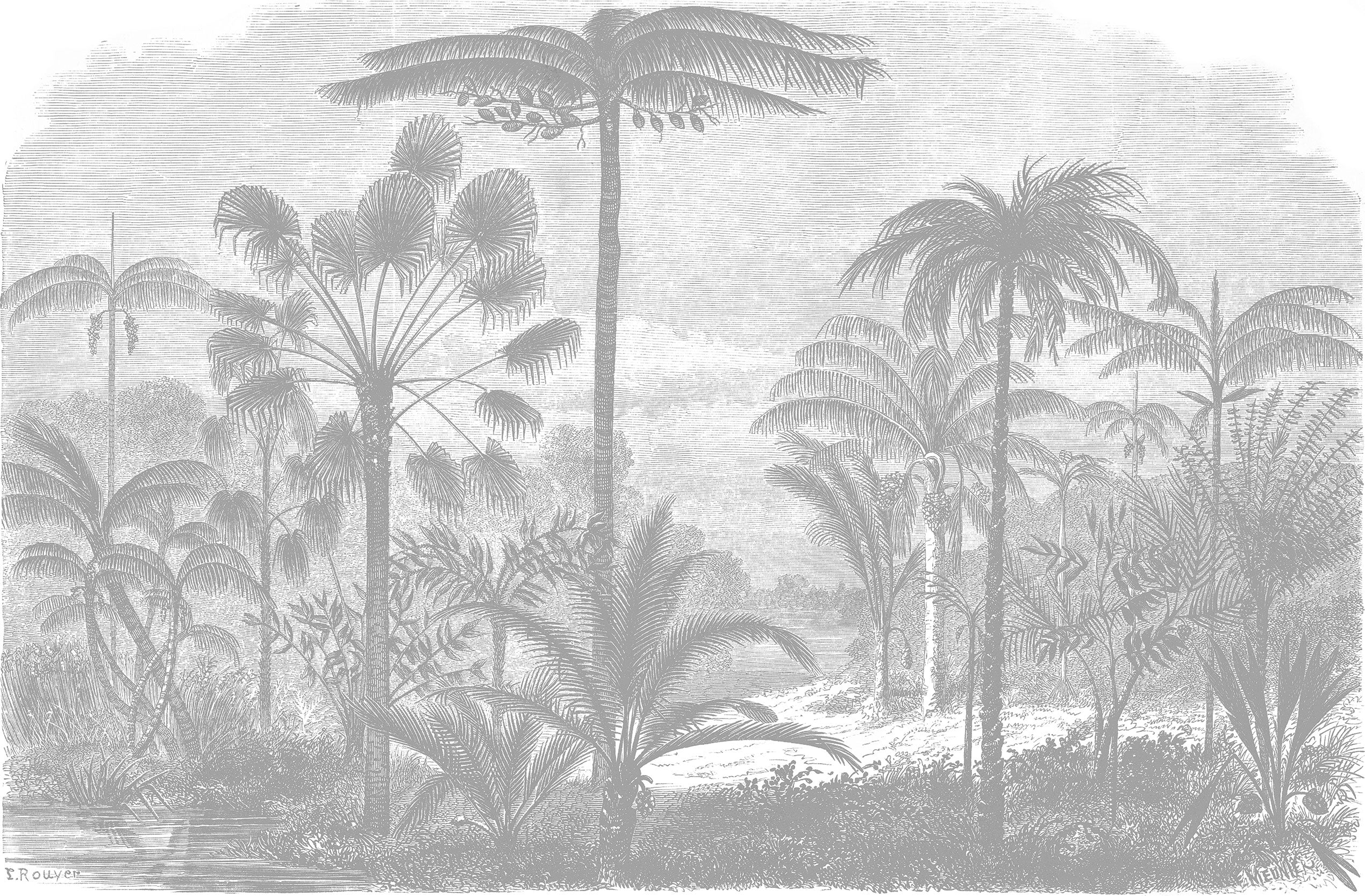 Arthur Grise - Grey Vintage Tropical Etching Wallpaper Mural - Image 4