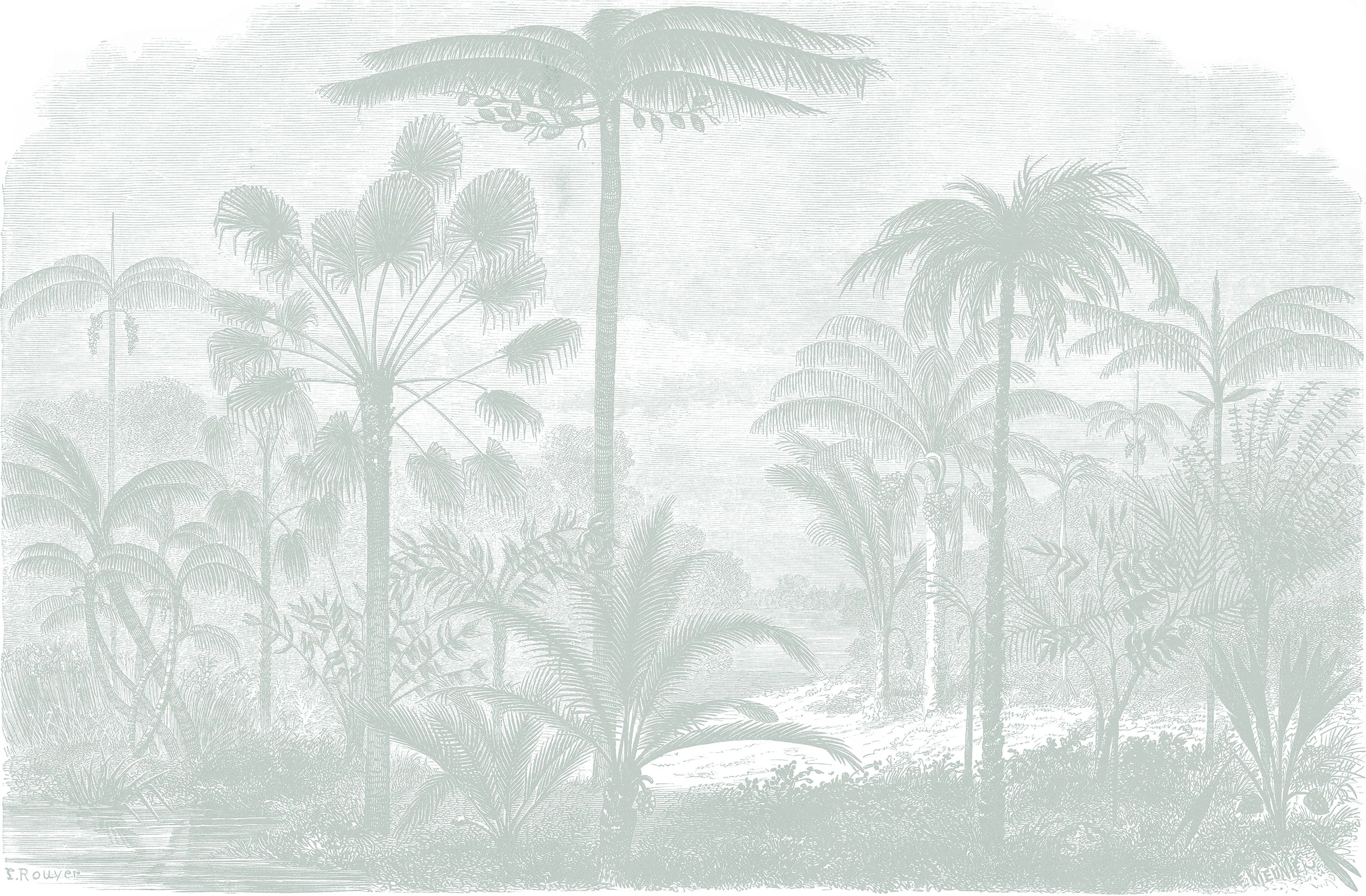 Arthur Sage - Green Vintage Tropical Etching Wallpaper Mural - Image 5