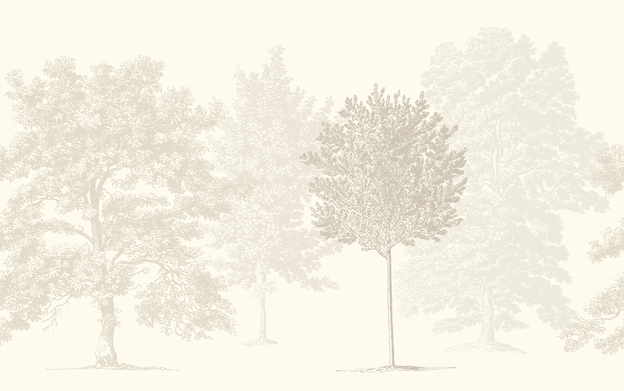 Muted Forest - Cream Neutral Illustrated Washed Out Trees Wallpaper Mural - Image 3