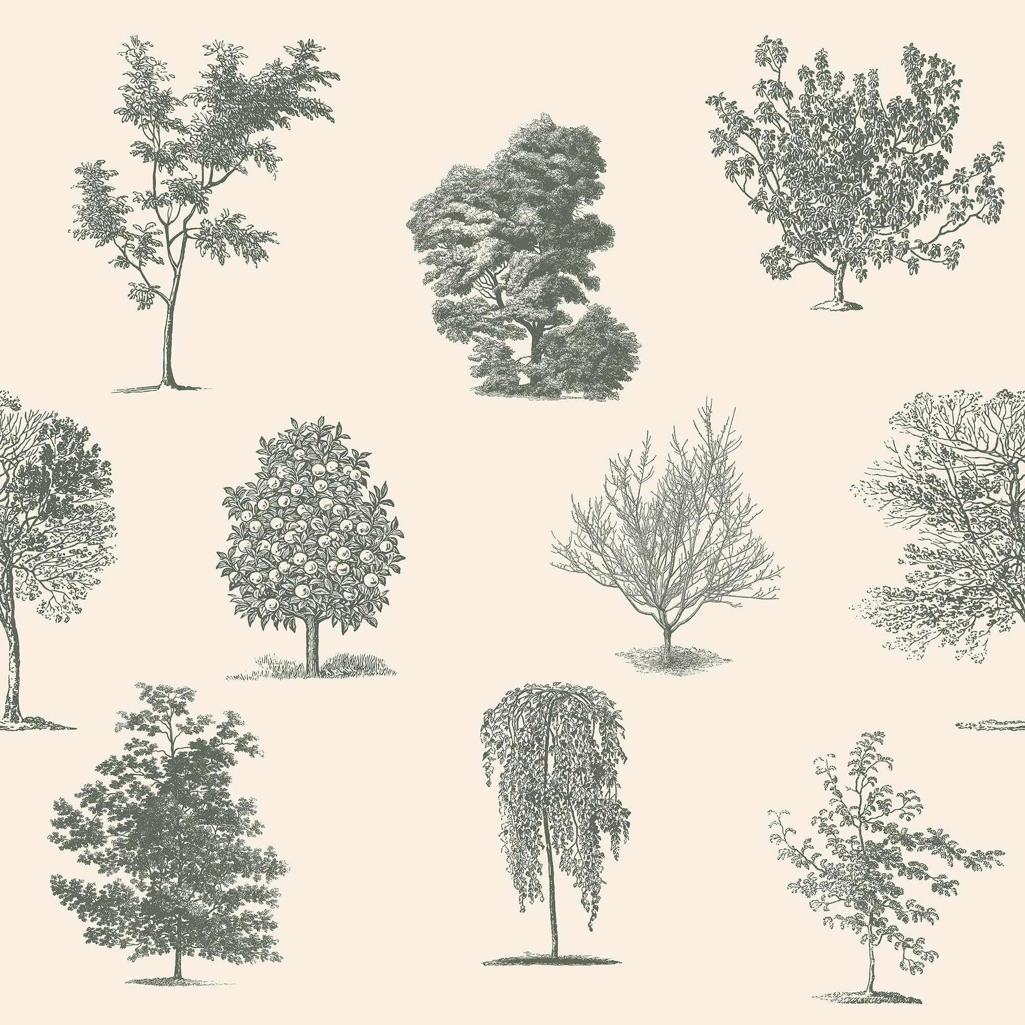 Evergreen - Countryside Tree Pattern Wallpaper Mural - Image 5