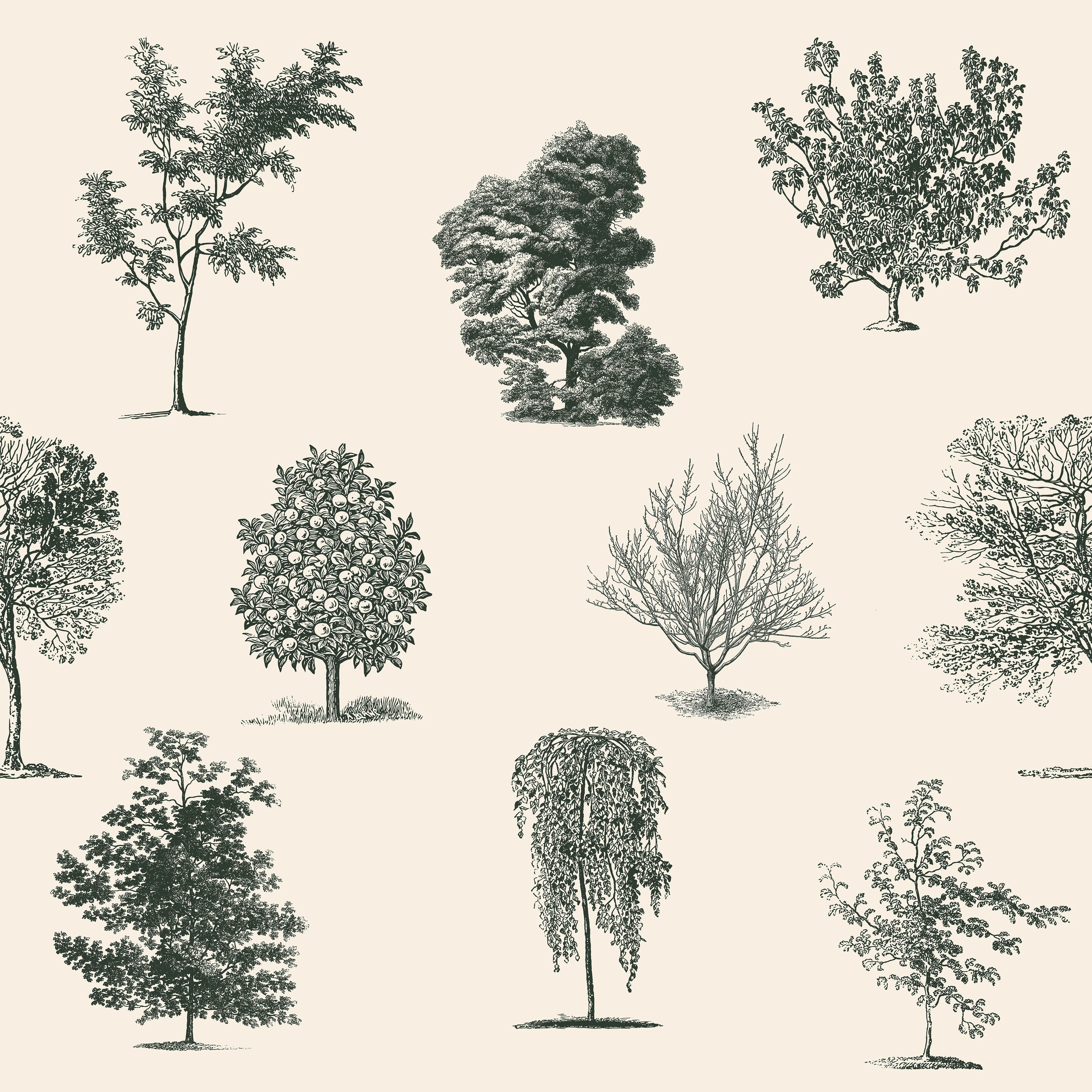 Evergreen Olive - Green Tree Pattern Wallpaper Mural - Image 5