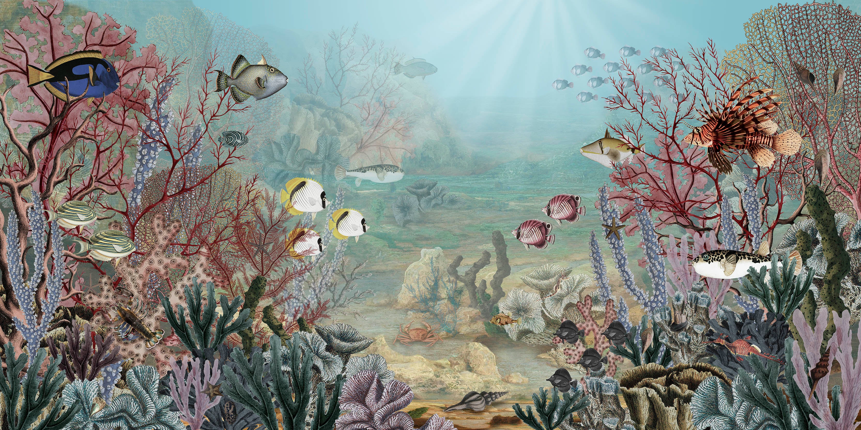 Flounder - Fish and Coral Underwater Watercolour Scene Wallpaper Mural - Image 3