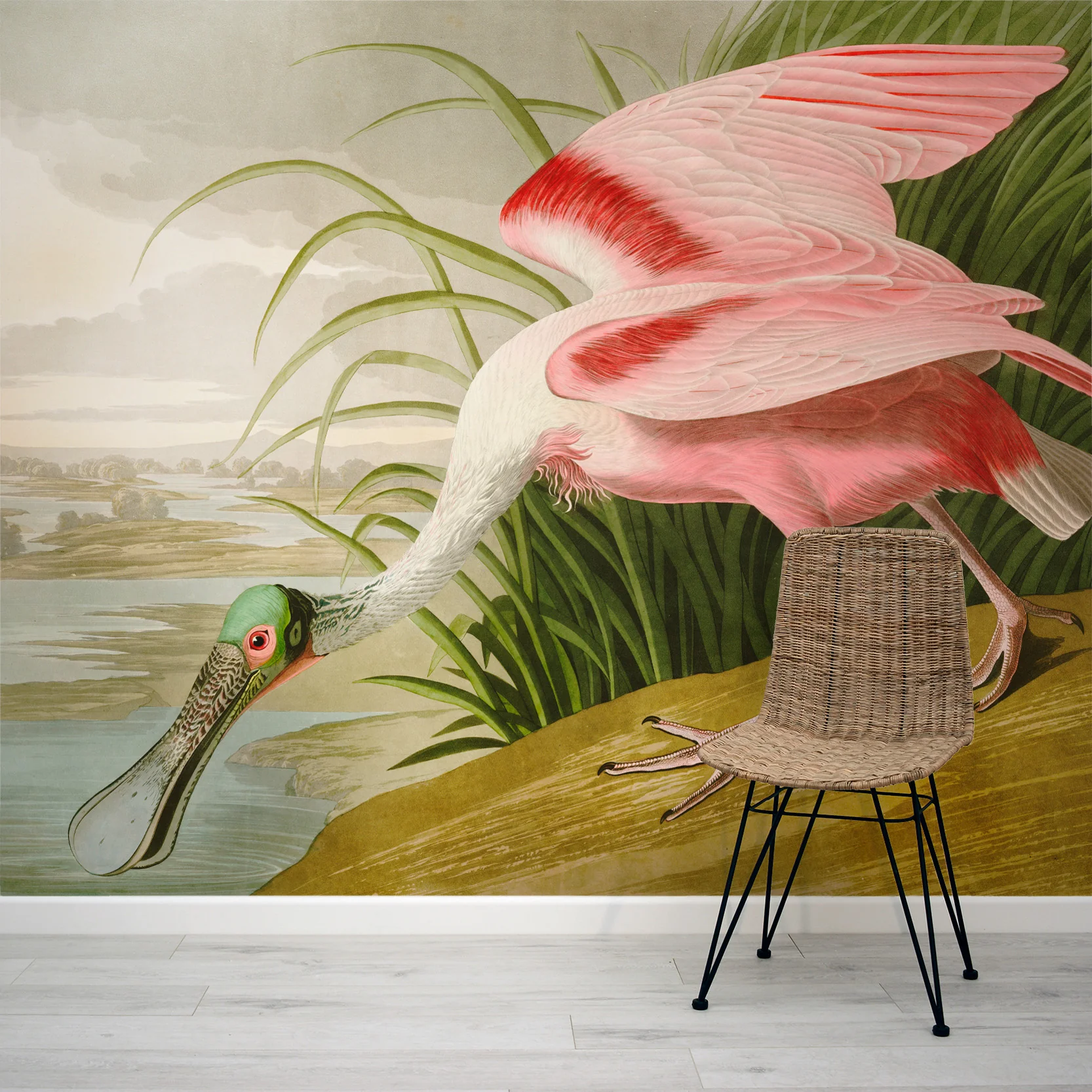 Spoonbill - Vintage Pink Bird Spoonbill Wallpaper Mural - Image 3
